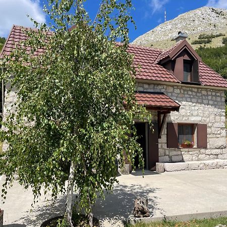 Lovcen Holiday Home Cetynia Zewnętrze zdjęcie