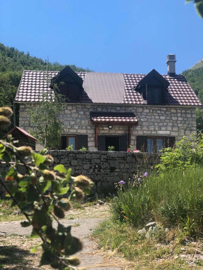 Lovcen Holiday Home Cetynia Zewnętrze zdjęcie