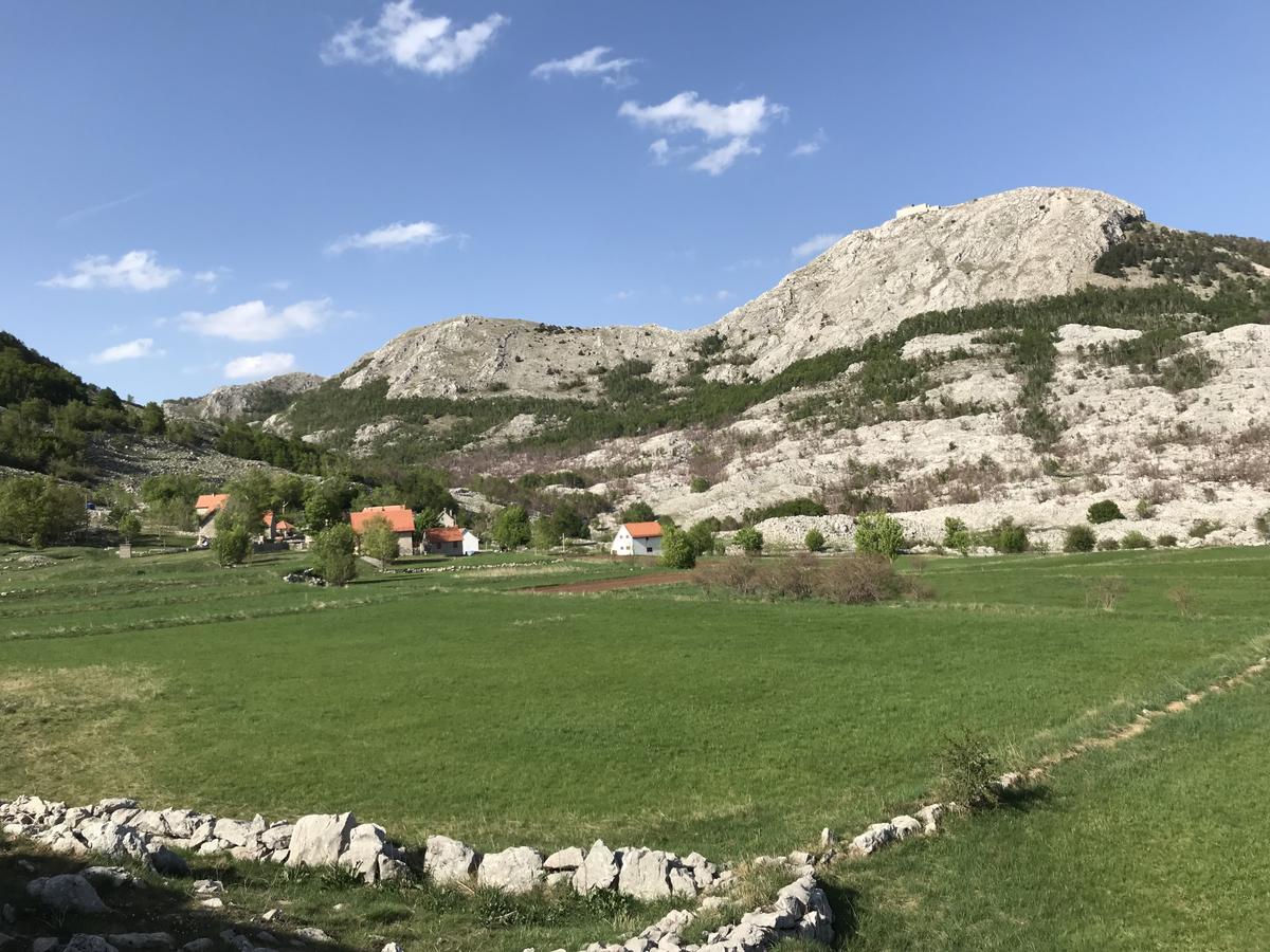 Lovcen Holiday Home Cetynia Zewnętrze zdjęcie