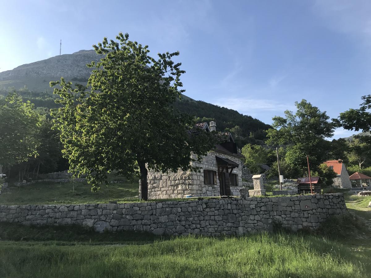 Lovcen Holiday Home Cetynia Zewnętrze zdjęcie