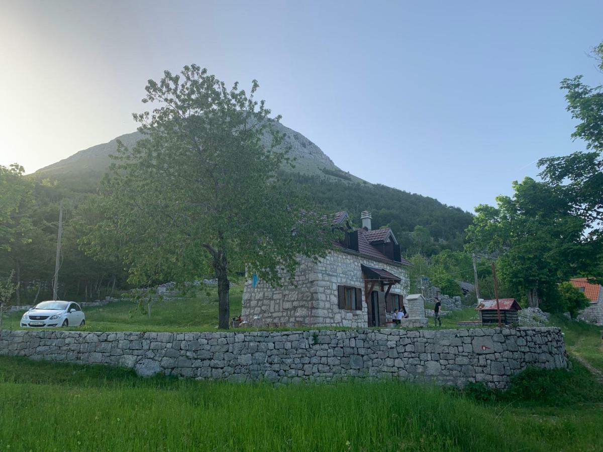 Lovcen Holiday Home Cetynia Zewnętrze zdjęcie